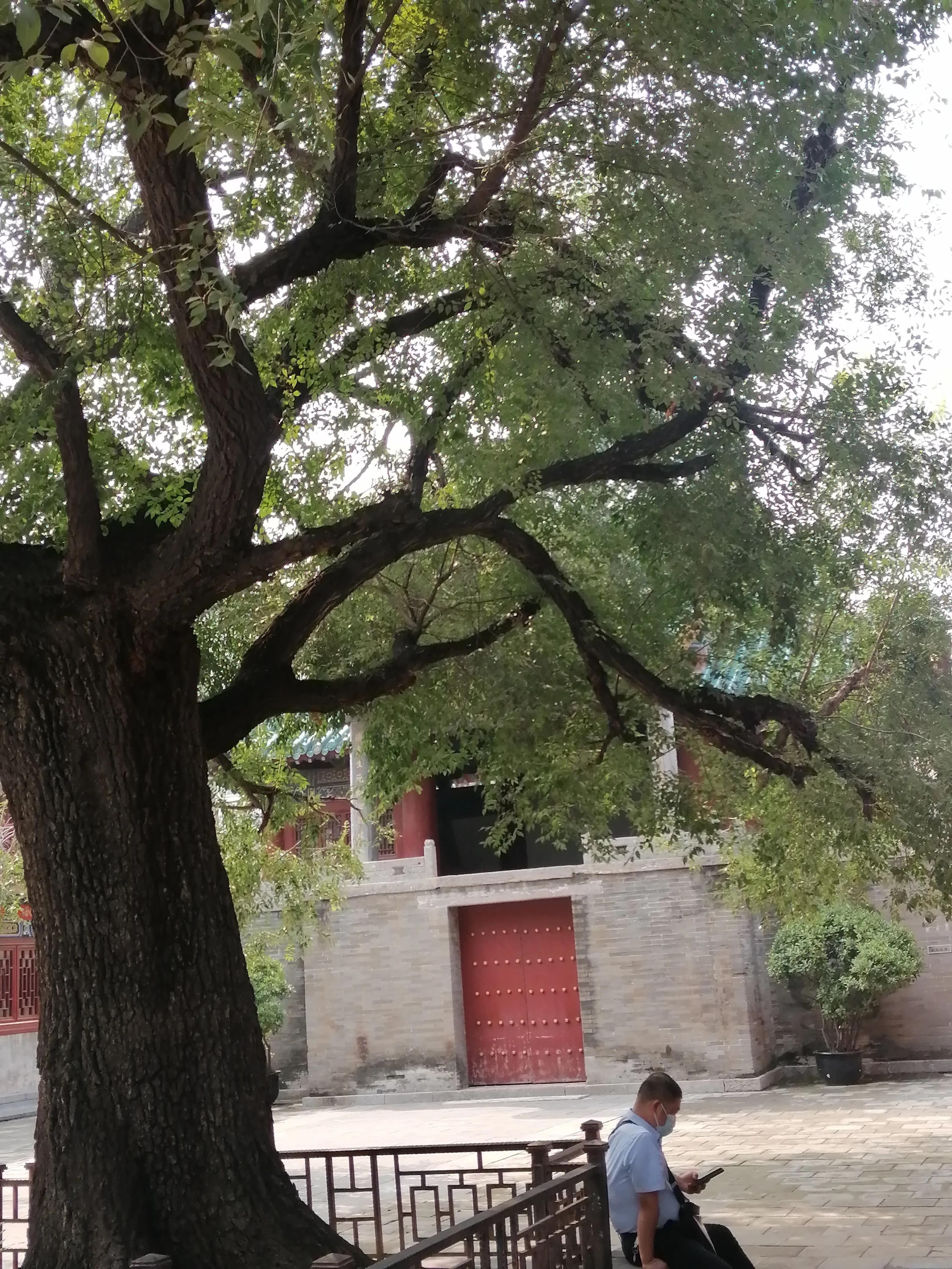 郑州城隍庙坐几路车,郑州城隍庙是否开放