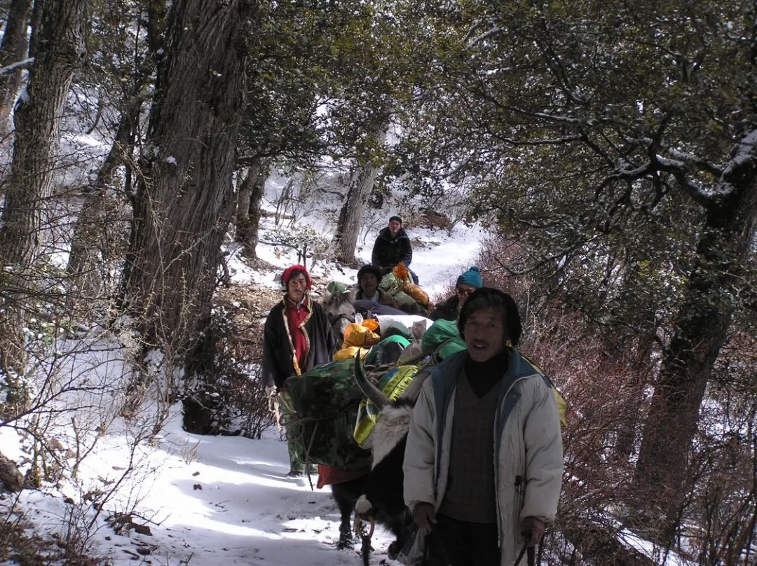 Nature一次又一次发来邀约信，都被他当成学术诈骗邮件……