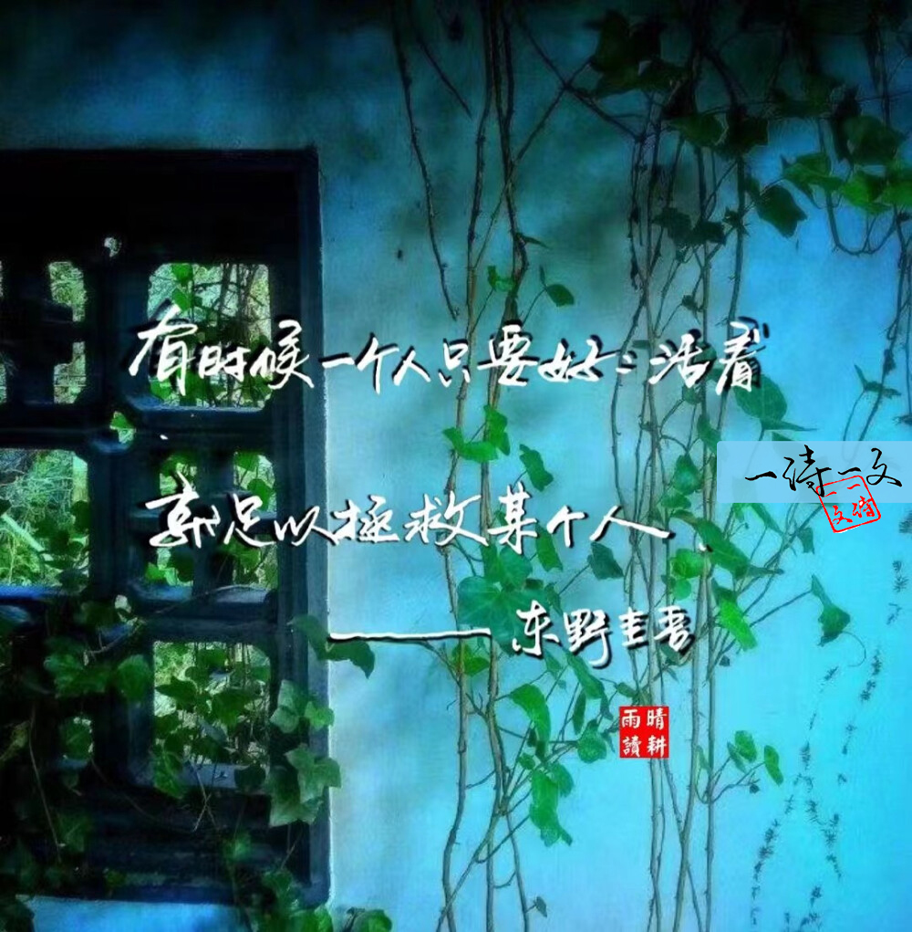 有哪些让你惊艳的句子和诗歌,你觉得最美的诗句是哪句