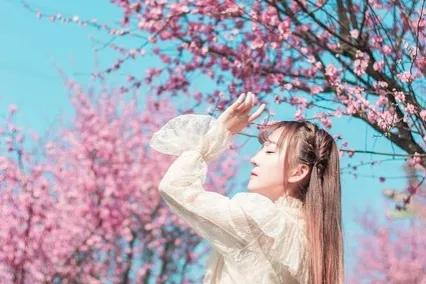 老婆相中一万多的包，我没钱买，她说养不起就让别人养