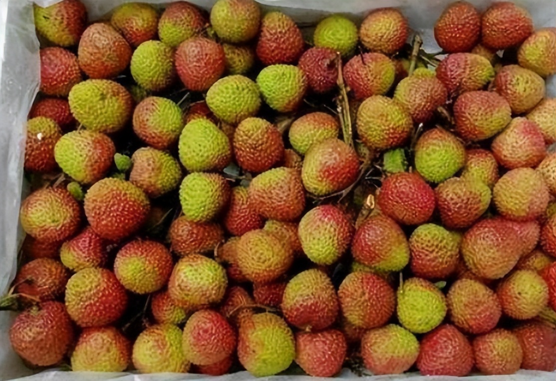 荔枝品种大全妃子笑,妃子笑荔枝哪个品种好吃