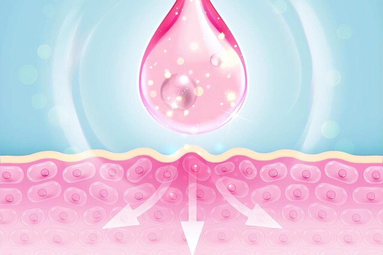 康婷辅酶q10的成分,美国辅酶q10的成分