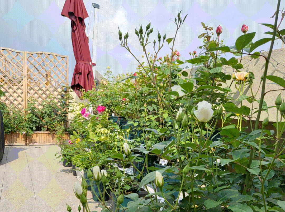 2020年赚钱行业生意机会,生意难做如何找突破口