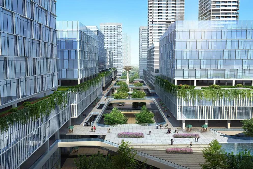 深圳水泥森林,深圳湾环境怎么样