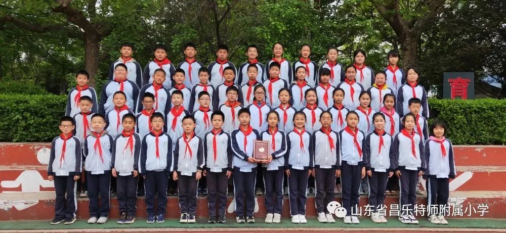 红领巾奖章三星奖章个人风采介绍,红领巾三星奖章队员事迹介绍