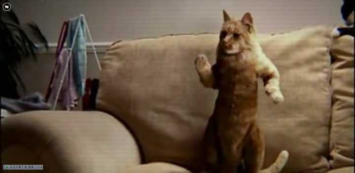 上班摸鱼看小说神器免费,上班看小说摸鱼神器推荐