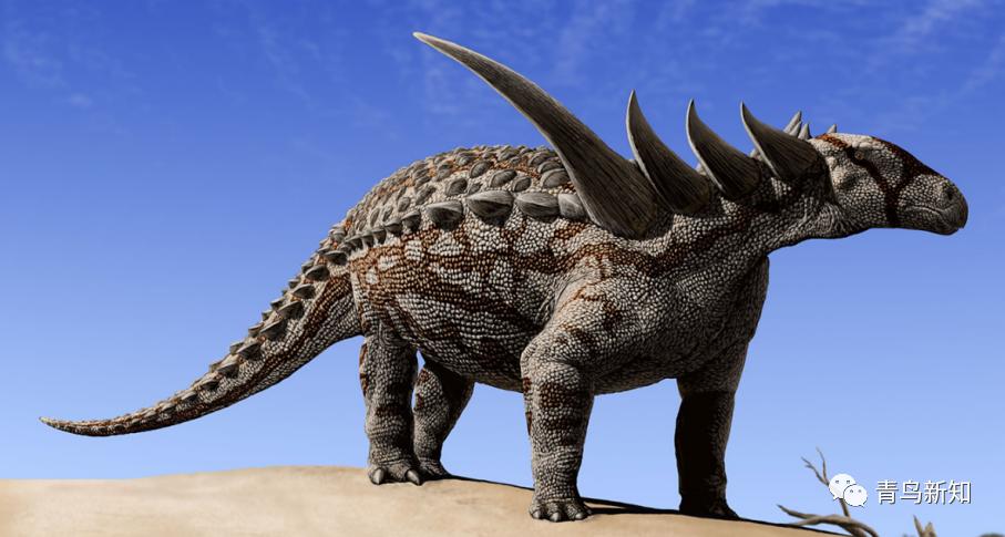 恐龙主题的铠甲可穿戴,恐龙战士怎么变身