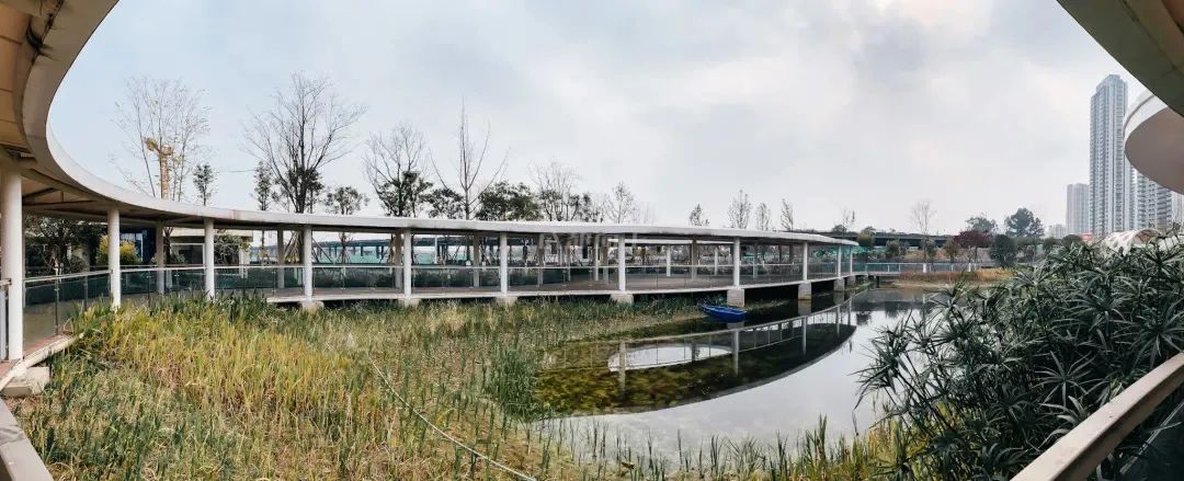 成都成华城东体育公园,成都成华体育公园