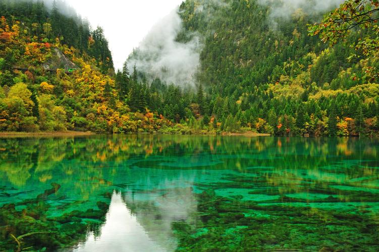 四川蒲江美食攻略,上海的四川美食最全攻略