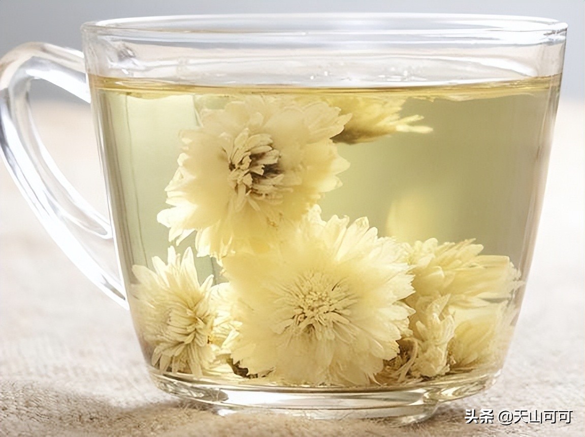 伏天适合喝哪种菊花,夏季喝干菊花冬天喝什么