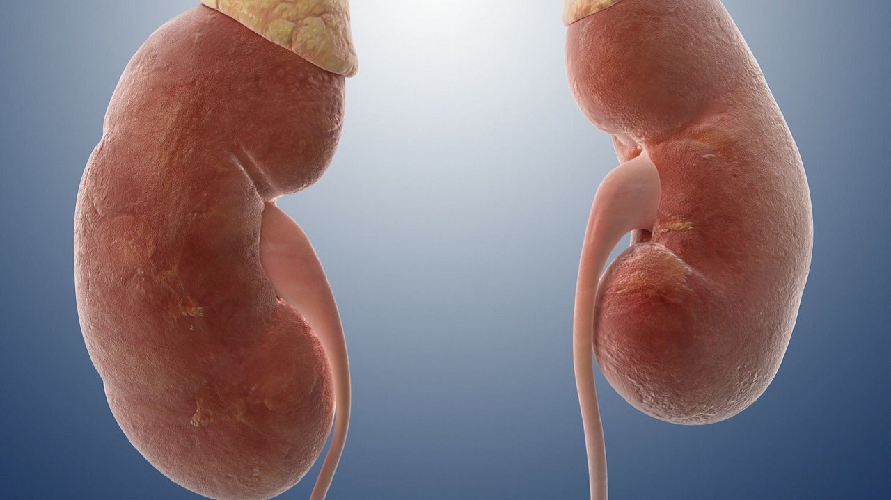 腰不疼尿血怎么回事,腰有点痛出现血尿是什么原因