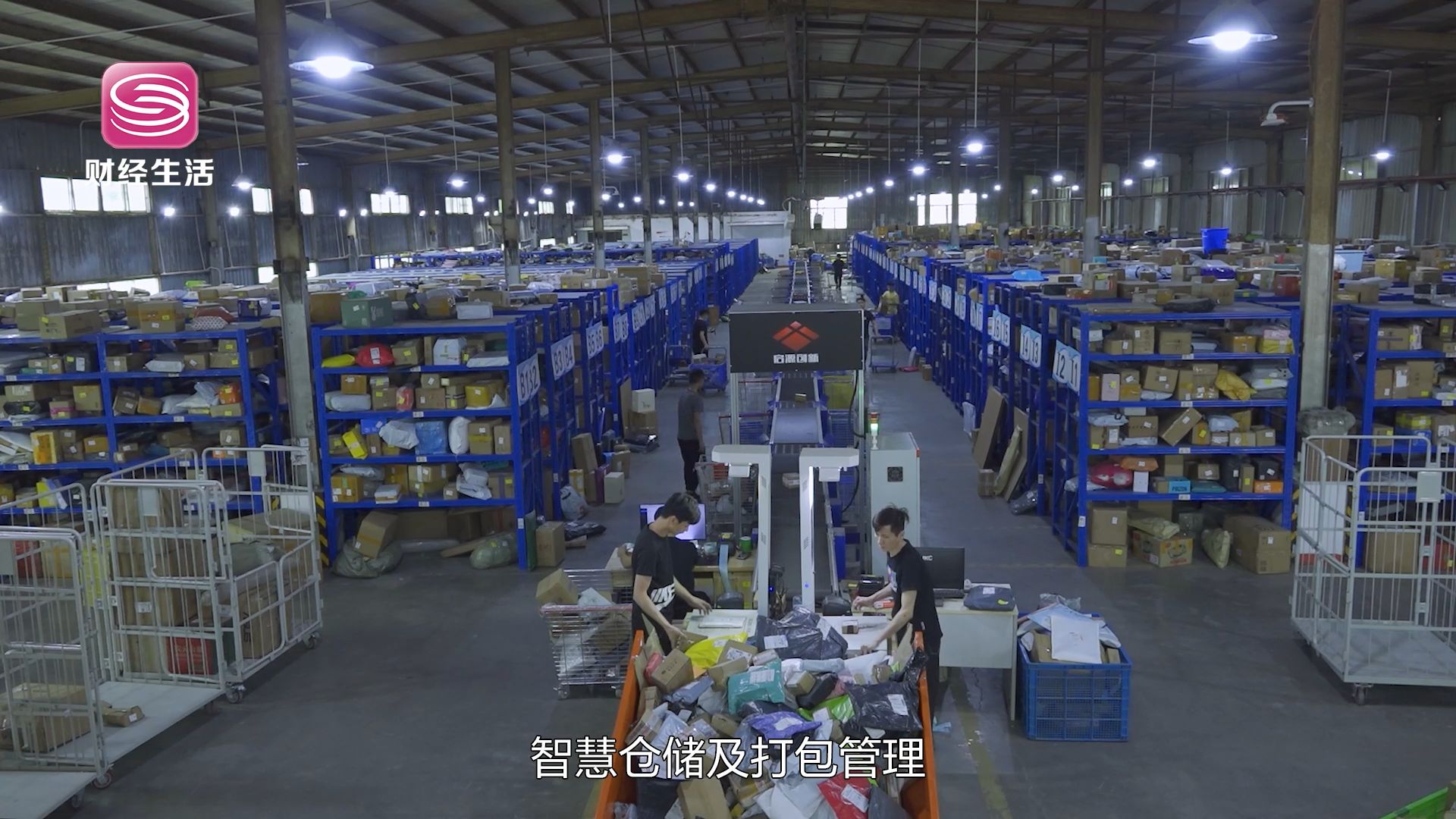 深圳直通车直播,深圳直通车播出