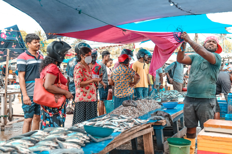 斯里兰卡旅游攻略必去景点,斯里兰卡旅游攻略最佳时间