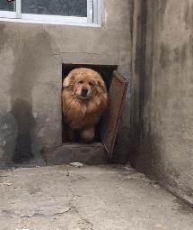 爆笑gif图小姐姐你是在逗我吗,搞笑gif妹子你又调皮了