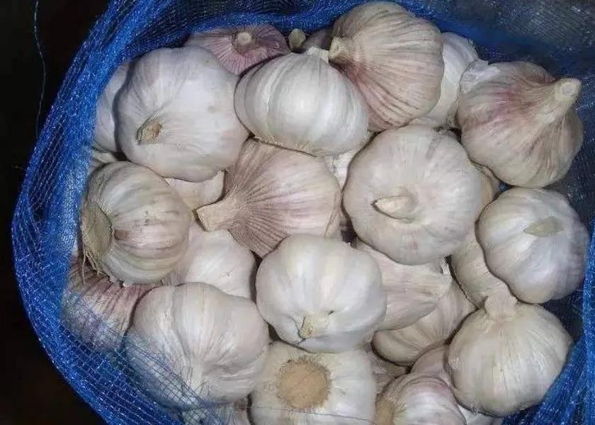 中国国家地理标志怎么申请,中国国家地理标志标识