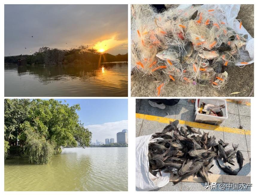 水生外来物种入侵防控工作方案,水生动物防疫