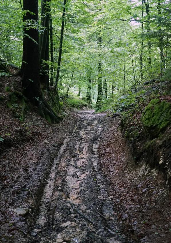 阴道炎瘙痒没完没了！有了傅青主这个方子，数月便可让炎症消失