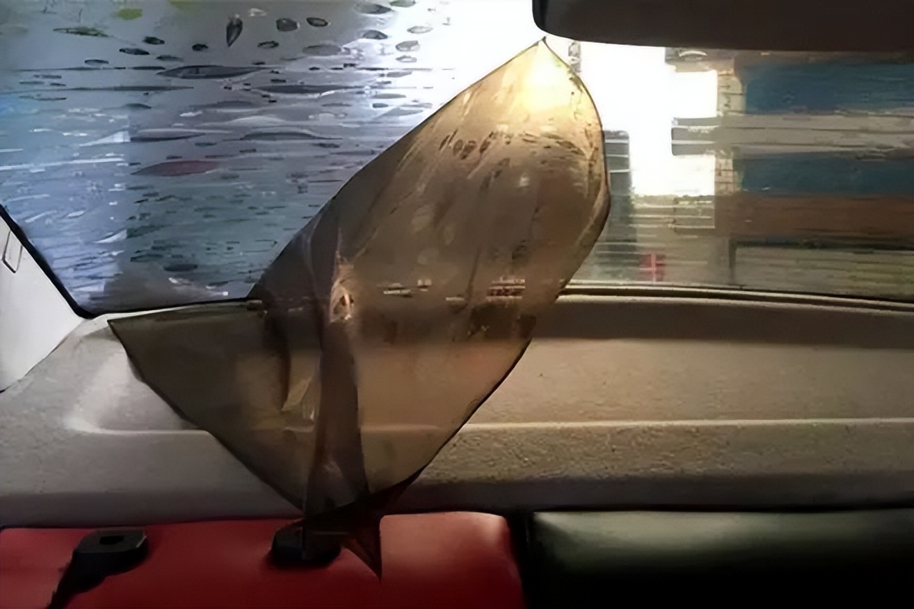 汽车隔热膜有气味是劣质的吗,隔热膜贴里面效果好还是外面好