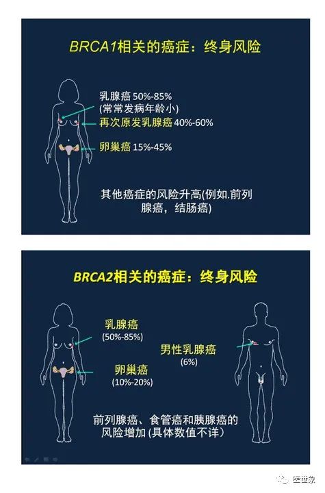 家族遗传性肿瘤,遗传性卵巢癌最新治疗方案
