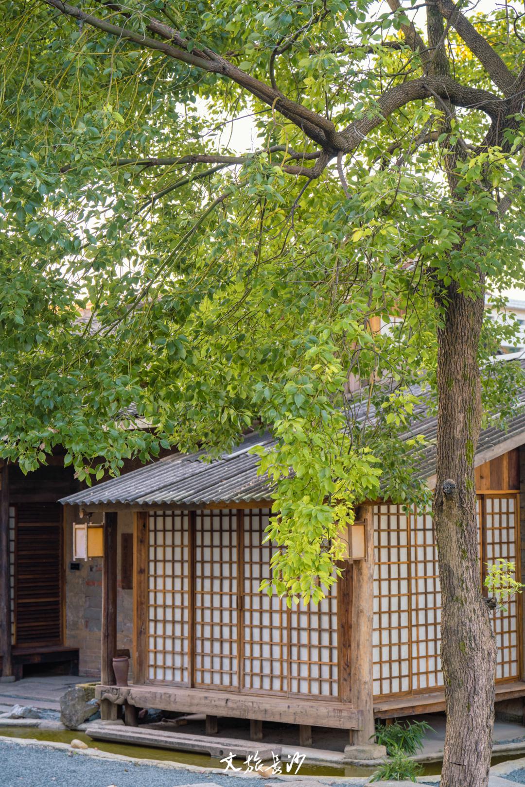 【星城漫游】打卡全世界，就从长沙出发