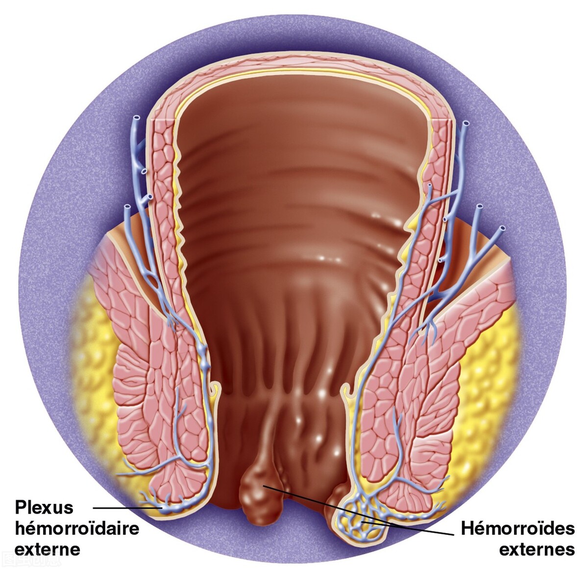 鑲涢棬鍧犺儉绌翠綅,涔呭潗鑲涢棬鍧犺儉