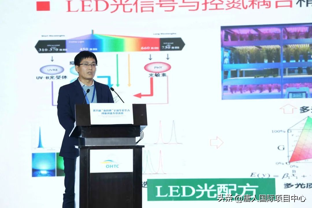 全球华侨华人创新创业大赛,国际青年创新创业技能大赛总决赛