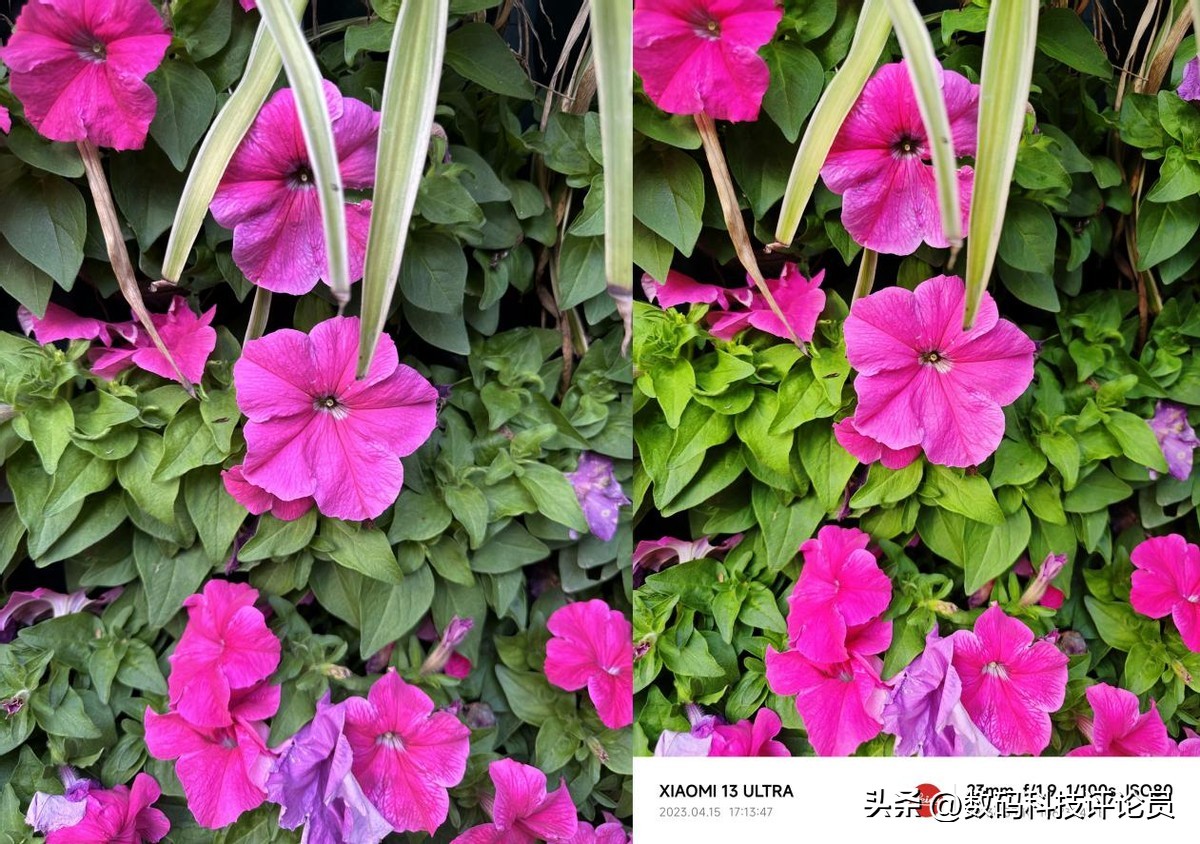 超微距镜头小米13ultra,超越小米13ultra影像