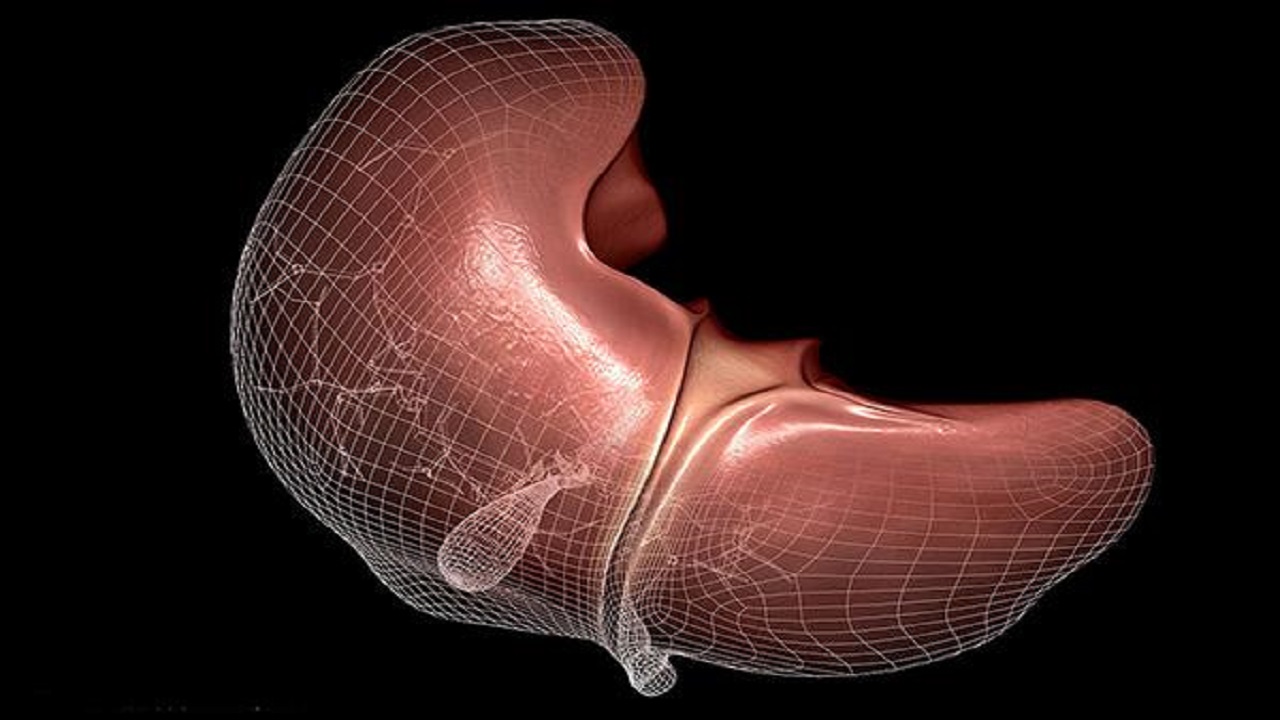 谷草转氨酶和谷丙转氨酶谁更重要,谷丙转氨酶与谷草转氨酶哪个要紧