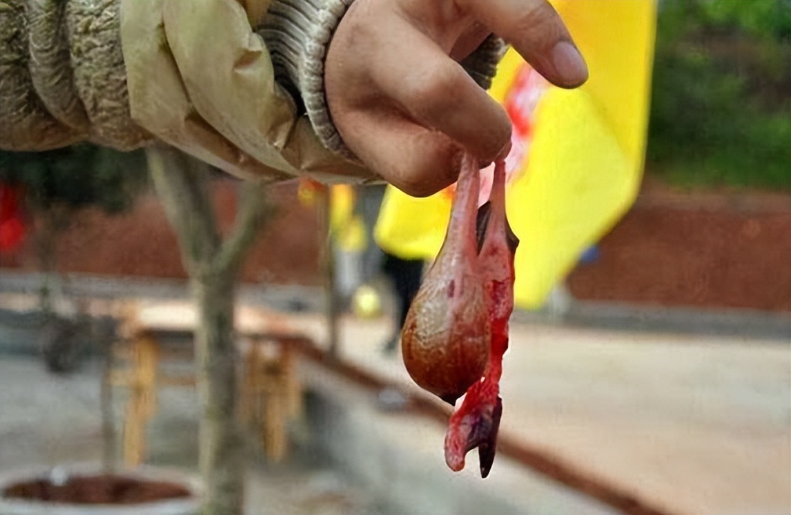 民间人生的三大苦是什么苦,农村四大喜是哪四种