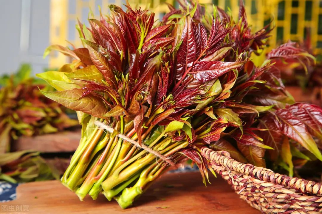 这个季节每一口都是春天的味道,阳春三月又到了品尝春味的时候