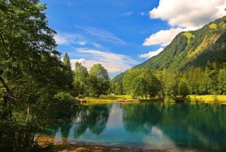 真实大自然风景图片手机壁纸,花草树木壁纸高清风景图片