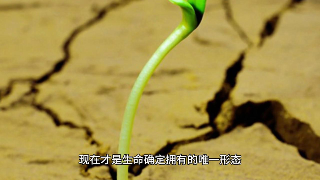 萧炎晋升斗帝,萧炎救出药老