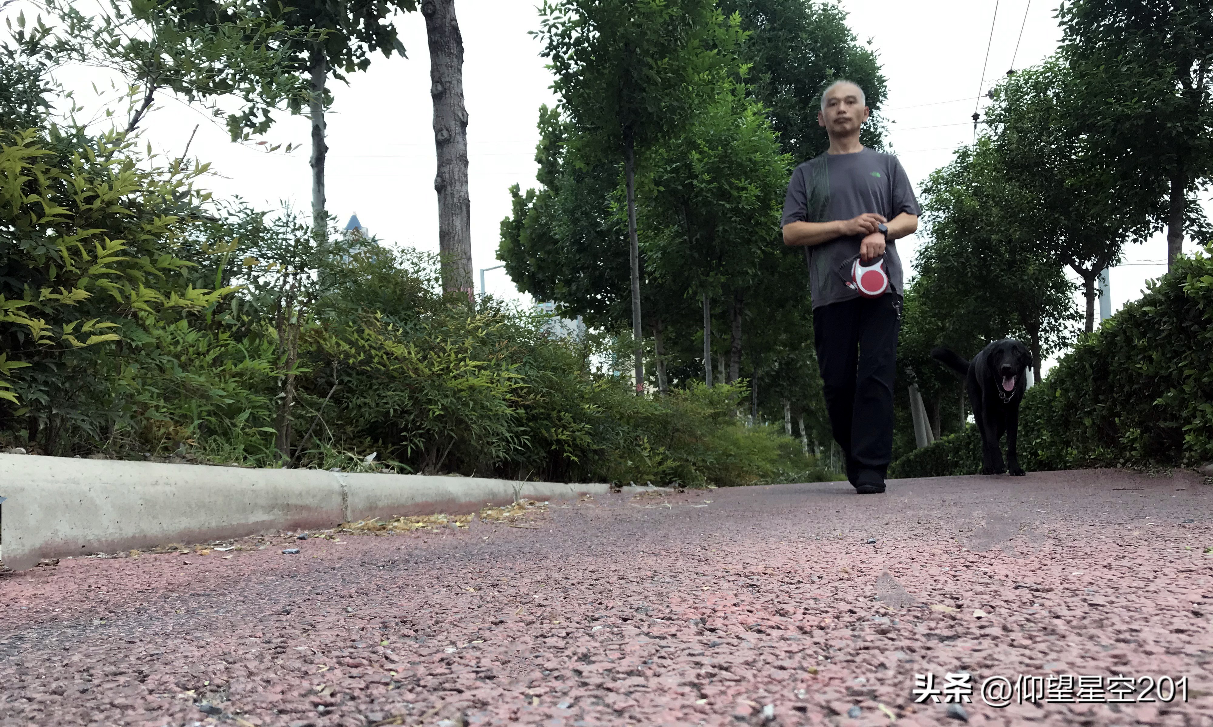 一表在手值得拥有,一表在手