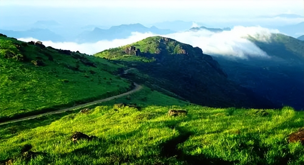 北纬三十度名茶名酒,北纬30度十大名茶