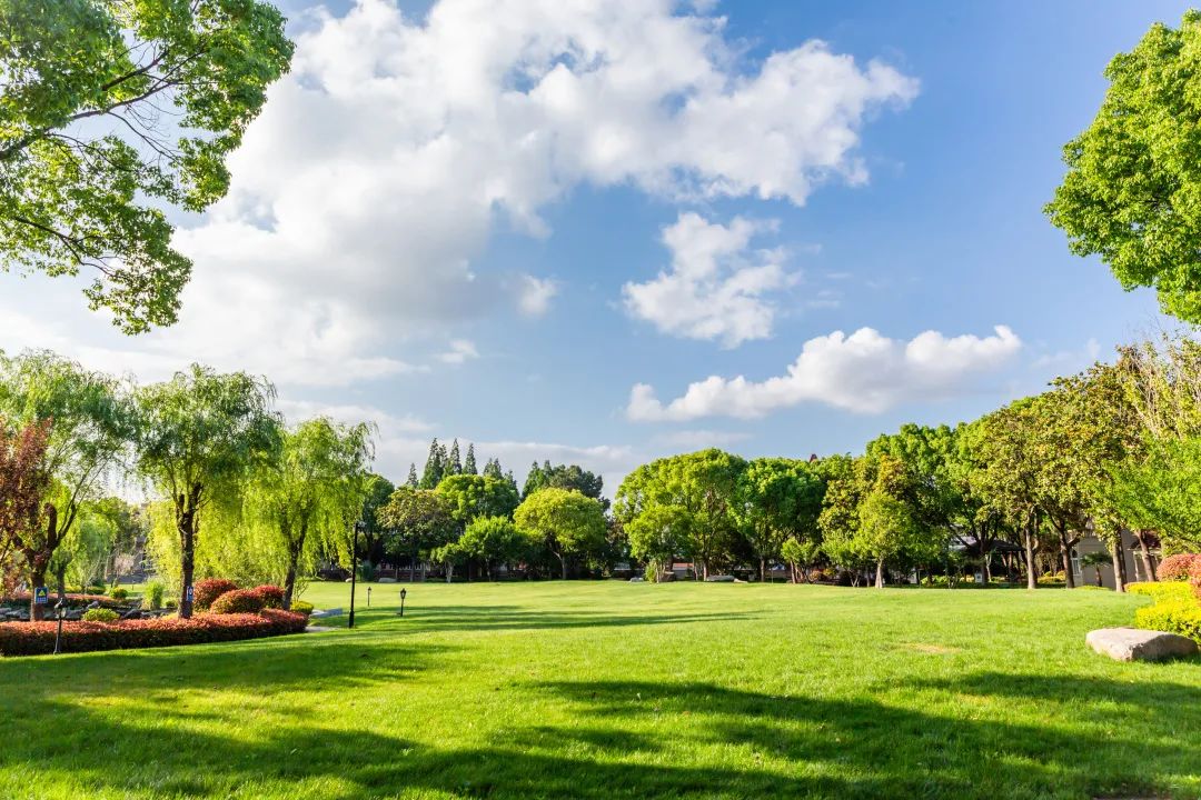 苏州有哪些性价比高的大学,苏州国际学校学费价目表