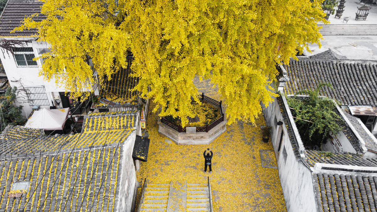 秋天的苏州必去的景点,苏州秋天小众景点推荐