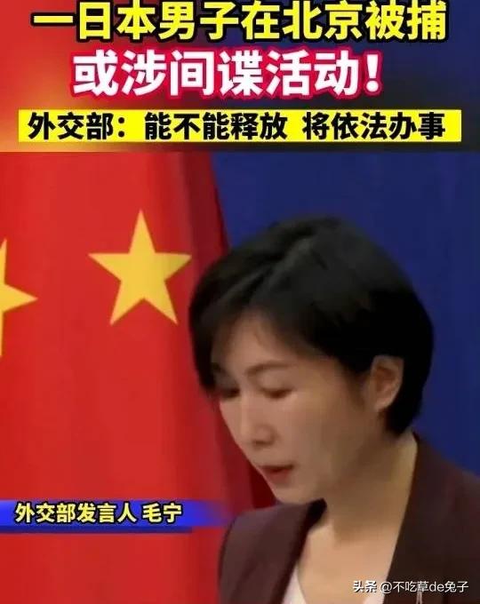 日本间谍在华被抓的是谁,日本间谍在华被抓后续