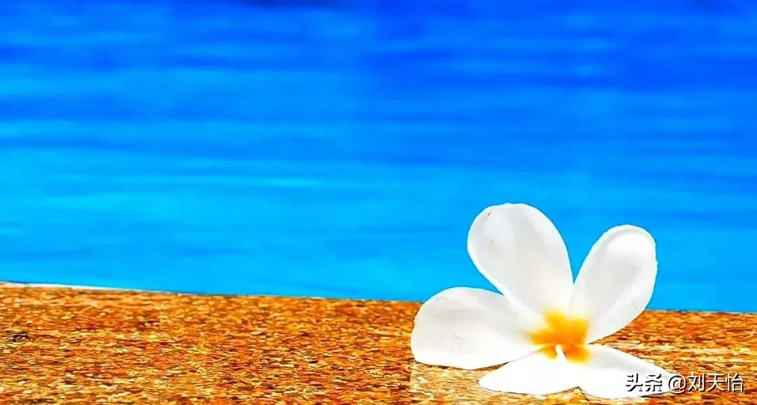 物有本末事有终始则近道矣,物有本末事有终矣