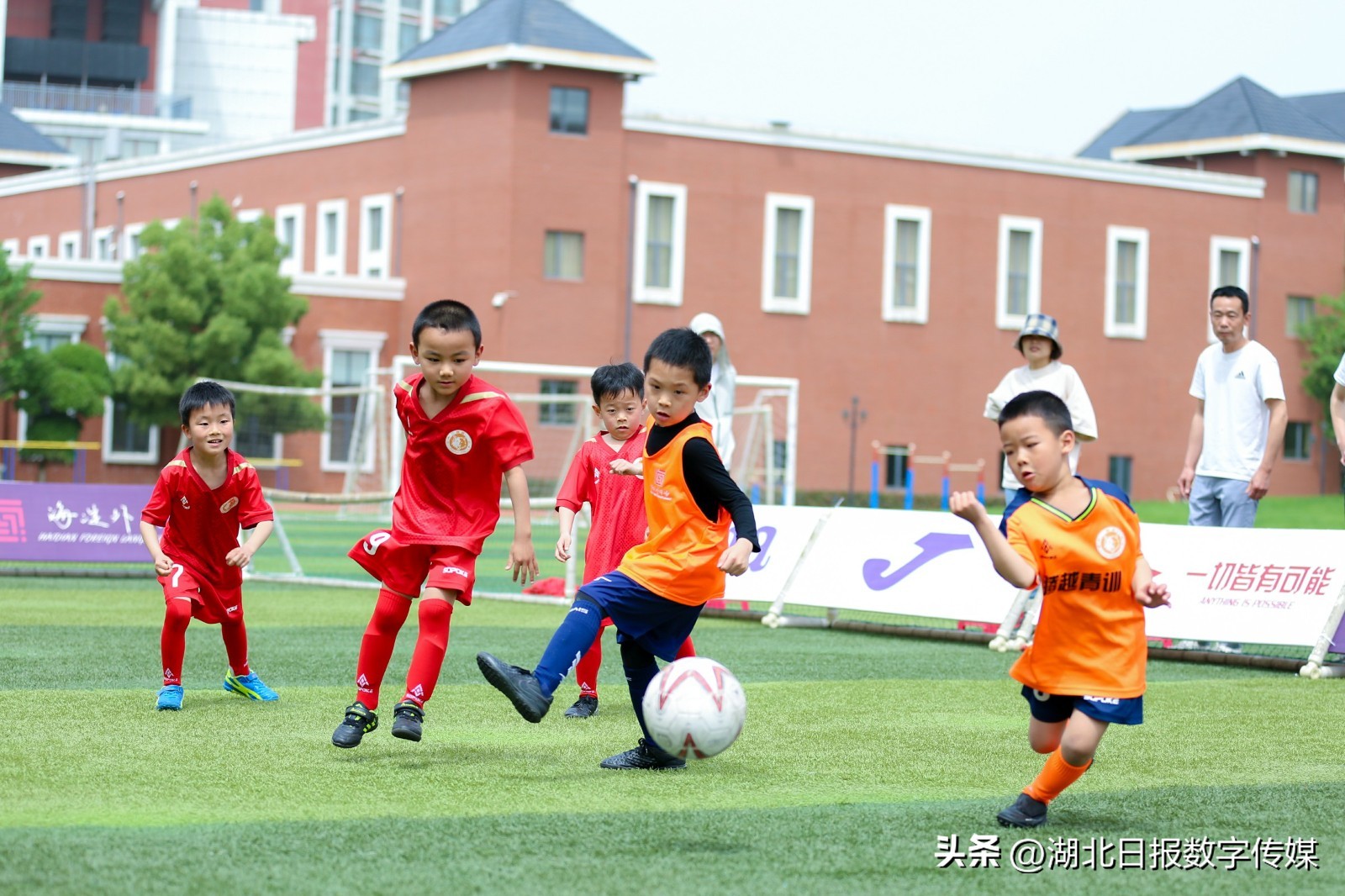 幼儿园孩子踢足球创意视频,足球比赛萌娃看台