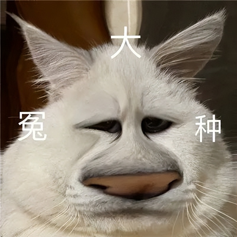 原神米哈游账号,米哈游原神手游