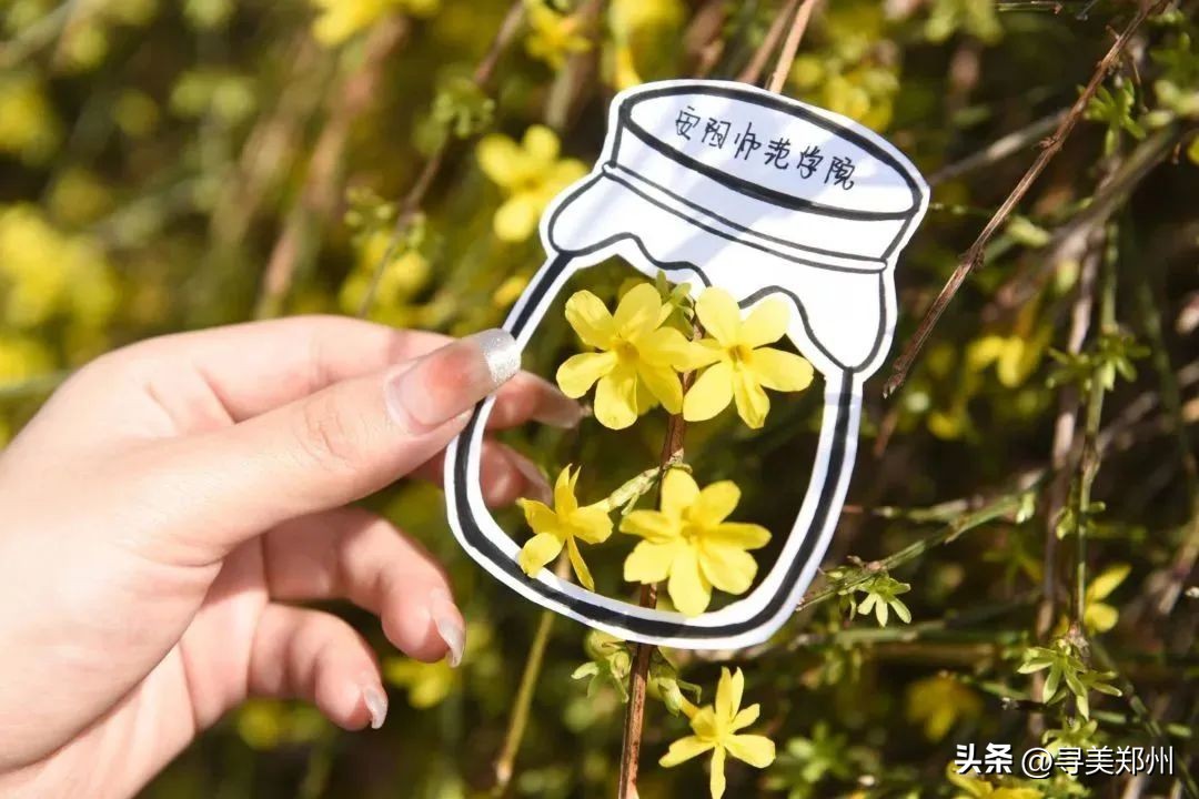 河南科技大学春景,河南科技职业大学校园春景