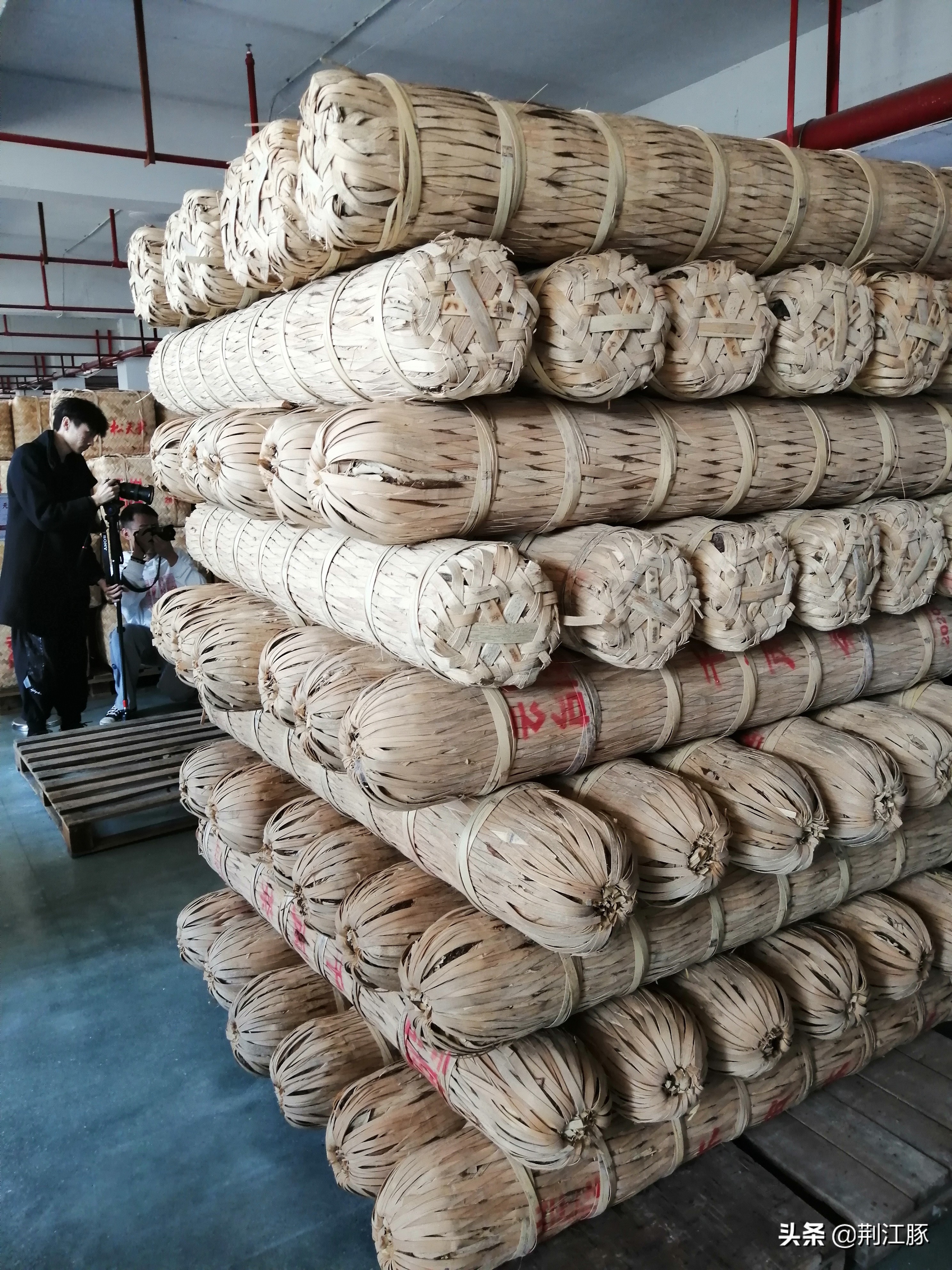 时隔215天,我再次来到这里,了解安化黑茶的前世今生