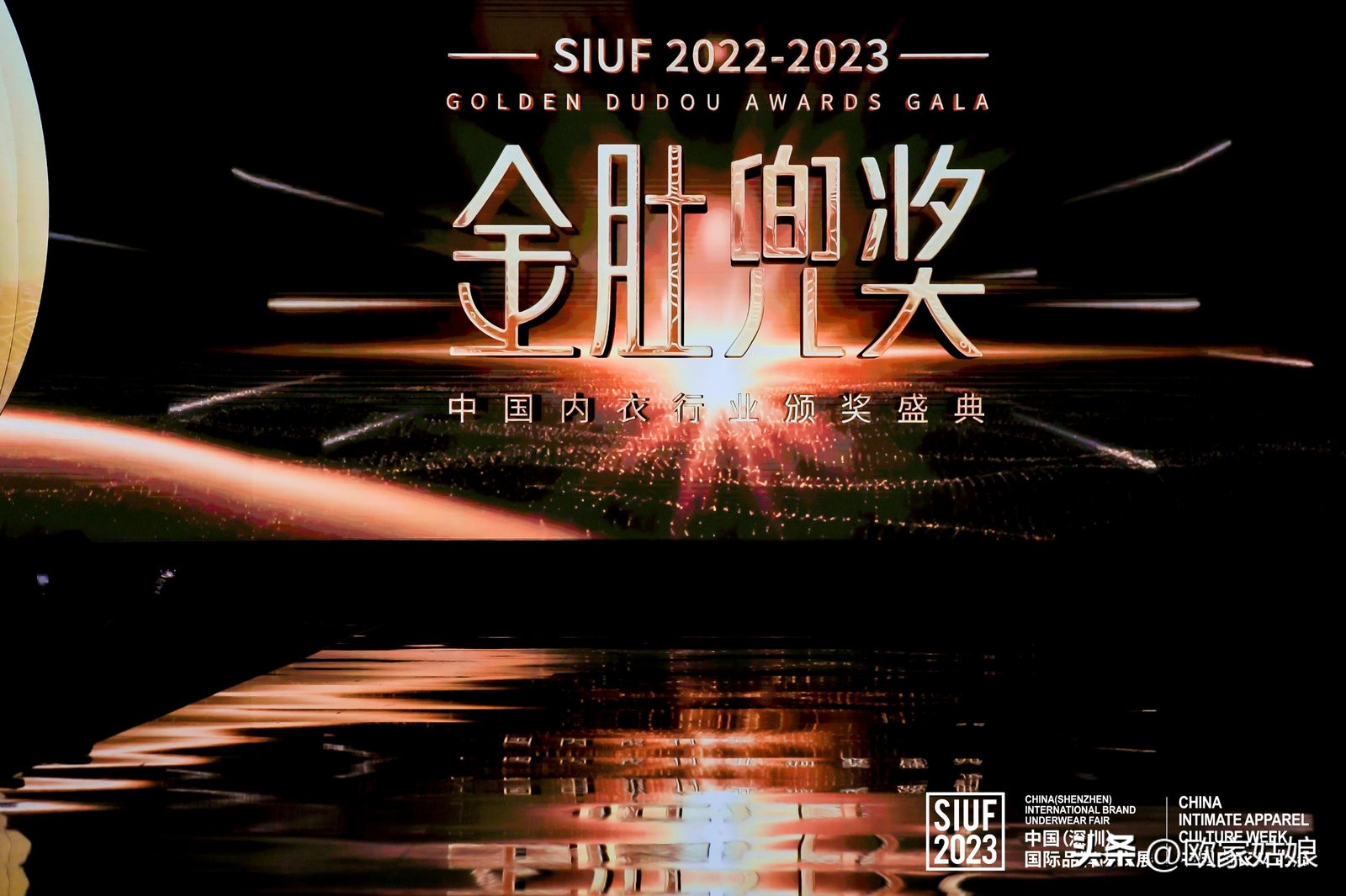 金肚兜奖·内衣业的“奥斯卡”之夜，欧迪芬获奖啦！