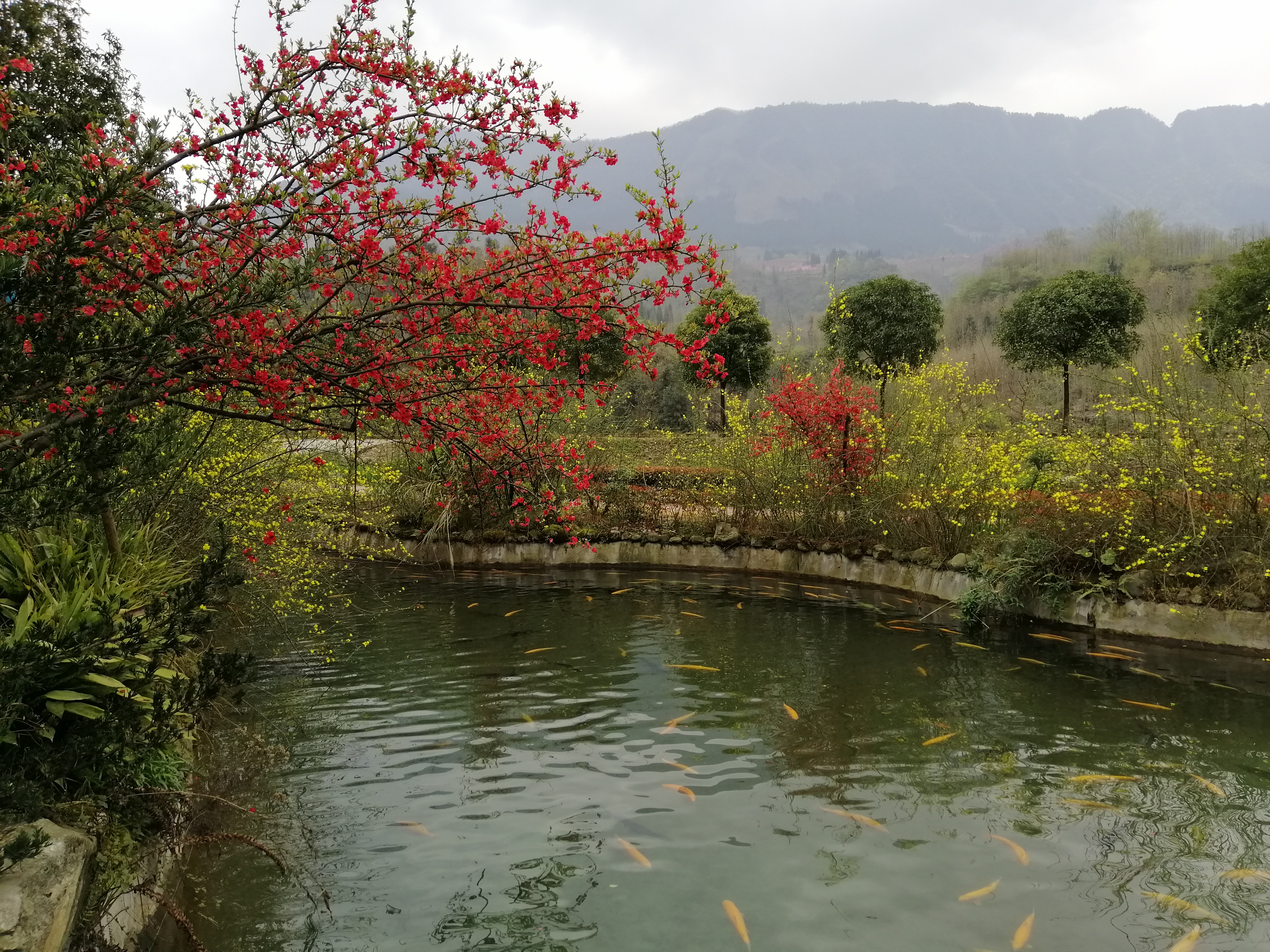 “种草”《大河恋》，解锁大虹鳟，也寻找着生命的意义