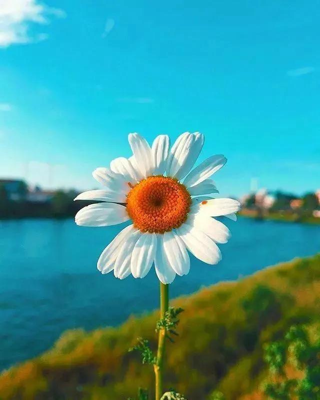 庄子人可以无情的活着,庄子谈死亡也许是另一种开始