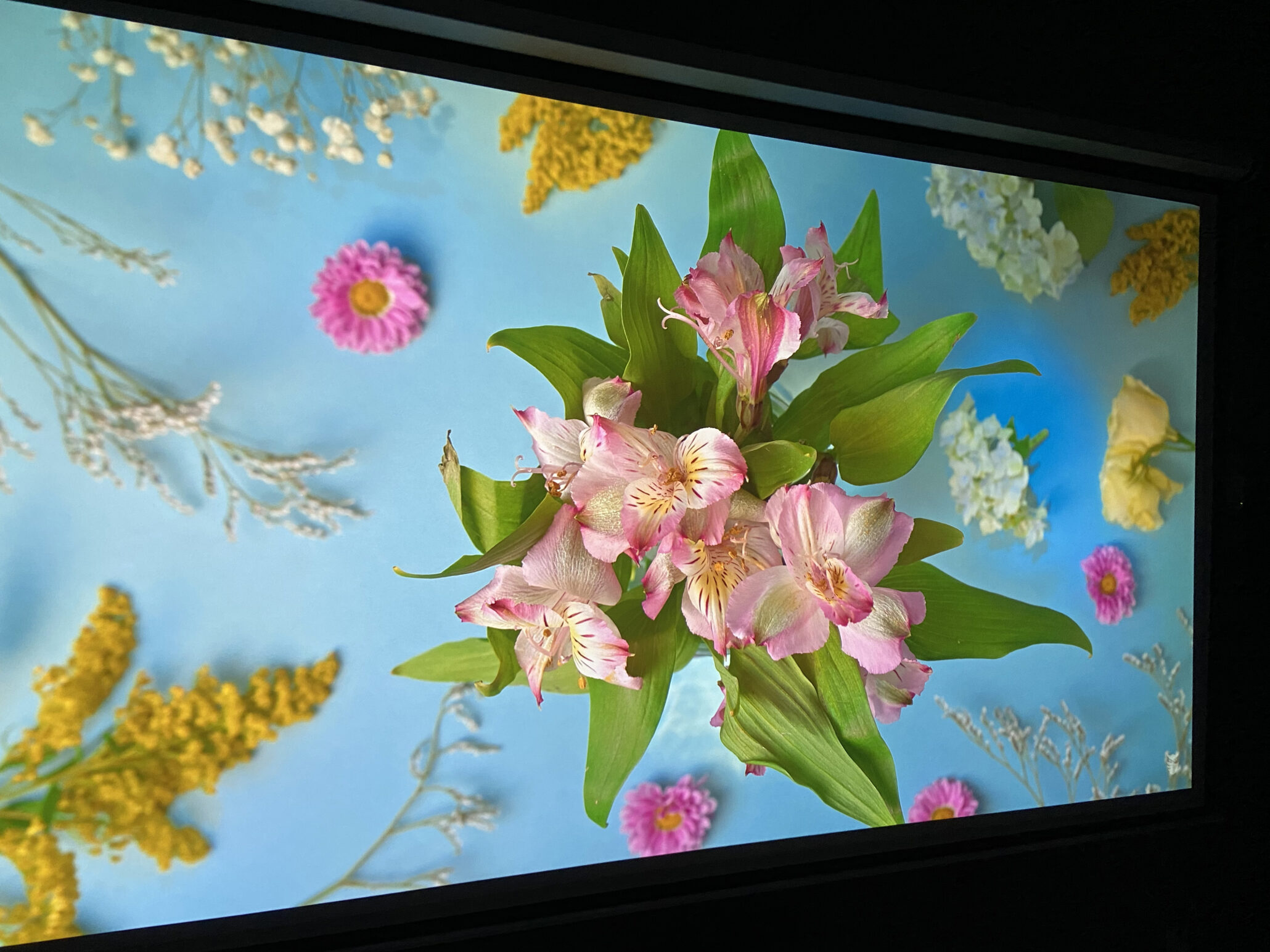 优派701pro4k投影仪怎么样,优派k701-4k和px710-4kpro区别