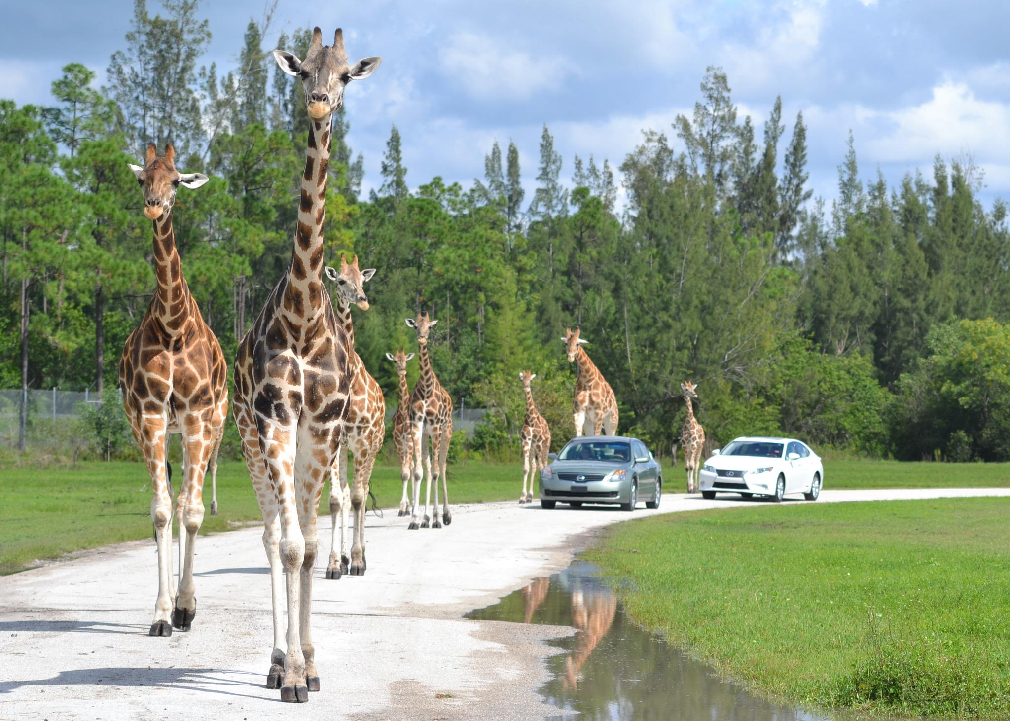 夏日游玩攻略1日游,夏日旅游攻略江浙沪