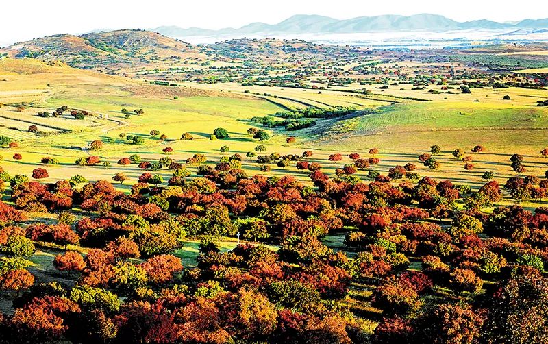 拍点景色,航拍发现深山