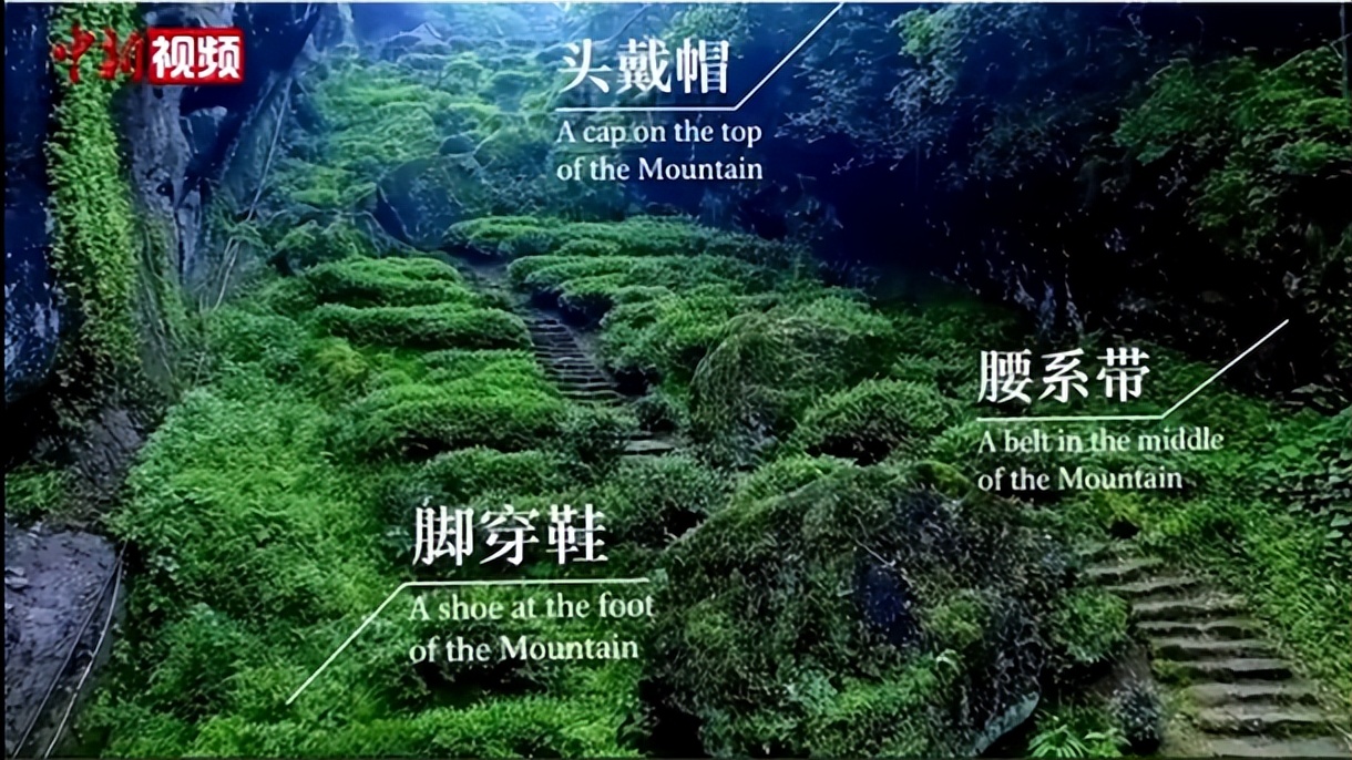 如何了解武夷山茶,探寻武夷