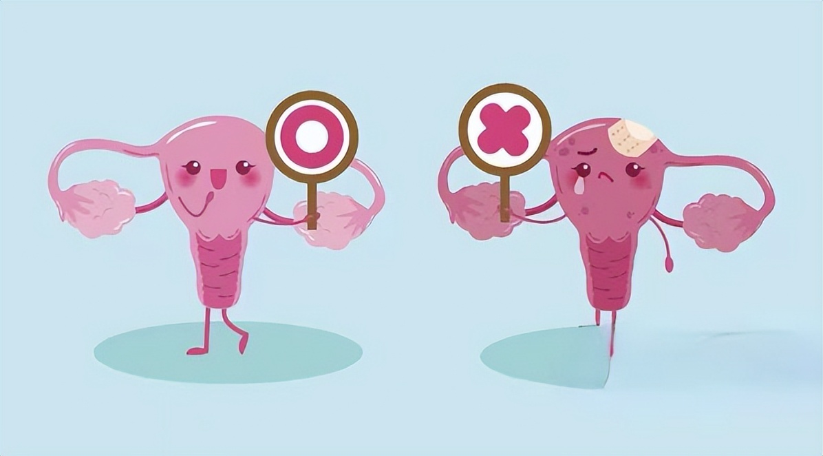 女性“巨阴症”是病？真会影响生育？医生直言：主要看这3种情况